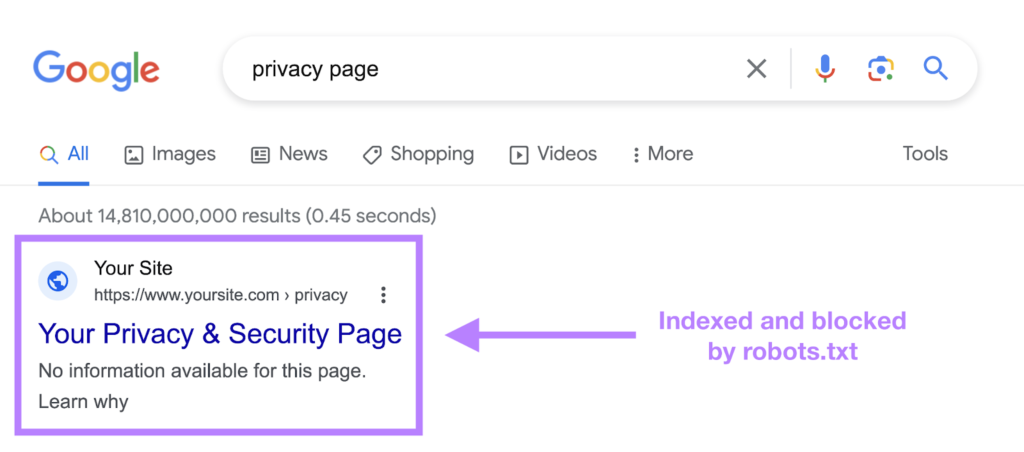 Robots.txt | SKB Web Development | Sahil Rawat